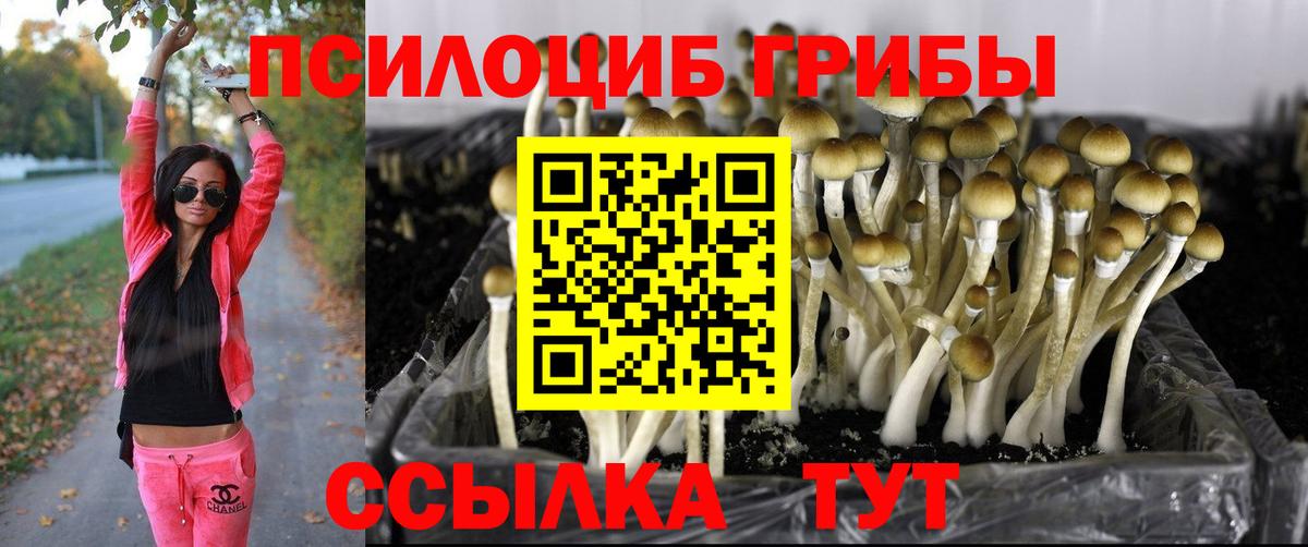 Псилоцибиновые грибы ЛСД  Вход с VPN  Набережные Челны 